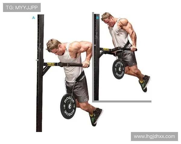 负重健身器材:负重型健身器材的训练作用及安全注意事项 负重健身器材:负重型健身器材的训练作用及安全注意事项