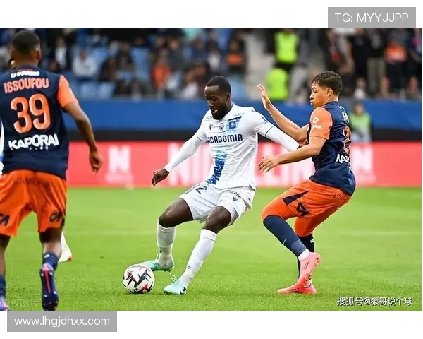 法甲摩纳哥防线稳定性评估：摩纳哥防线的稳定性与挑战