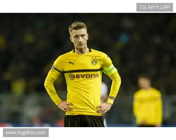 铁血战车再启航 2012德甲积分榜解析与战术背后的深层密码