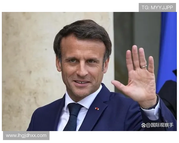 法媒报道因凡蒂诺与马克龙会面德约卡夫陪同出席引关注